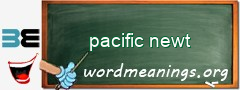 WordMeaning blackboard for pacific newt